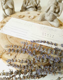 Gift Certificate